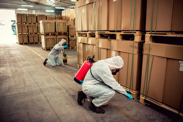 Best Mosquito Control Services  in Bensley, VA