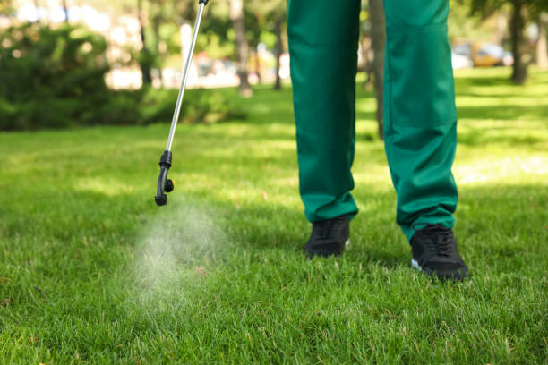 Best Affordable Pest Control Services  in Bensley, VA