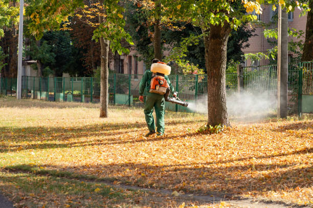 Best Pest Inspection Near Me  in Bensley, VA